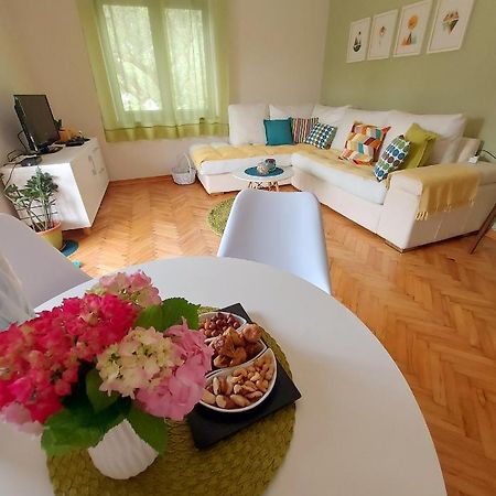 Apartments Iva Tivat Exterior photo