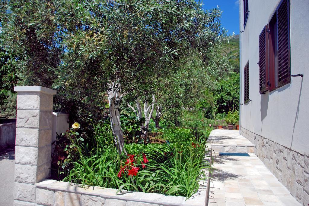 Apartments Iva Tivat Room photo